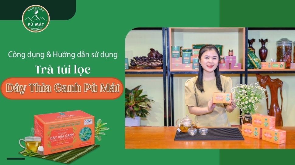 Trà Túi Lọc Dây Thìa Canh – Lựa Chọn Hoàn Hảo Cho Mỗi Tách Trà