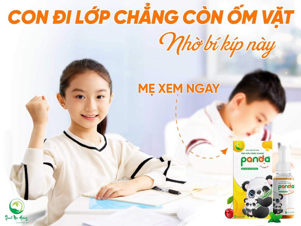 TINH DẦU HÚNG CHANH PANDA - Tăng cường đề kháng, bảo vệ hô hấp