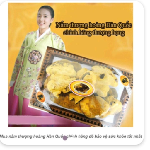 Nấm Thượng Hoàng (Trường sinh bất lão trẻ mãi không già).