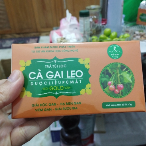 Trà Cà Gai Leo - Dược Liệu Pù Mát - Hộp 30 túi lọc