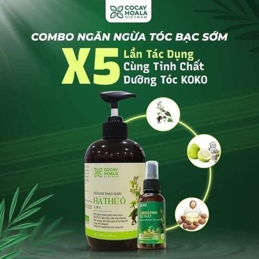 Dầu gội hà thủ ô 2 in 1 - Mua 2 tặng 1