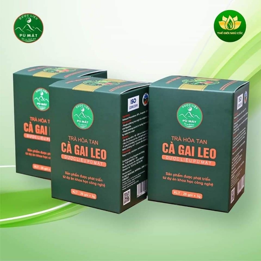 Trà Hoà Tàn Cà Gai Leo