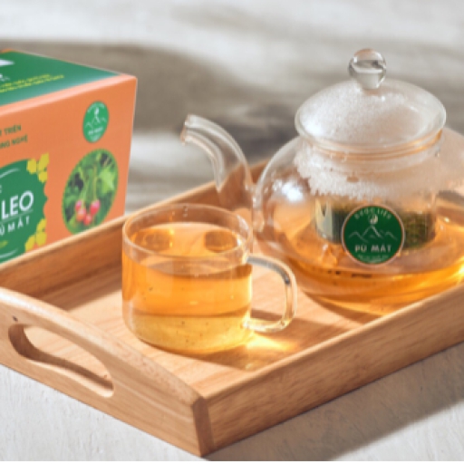 Cà gai leo túi lọc-Dược liệu Pù Mát