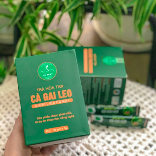 Cà Gai Leo Hoà Tan