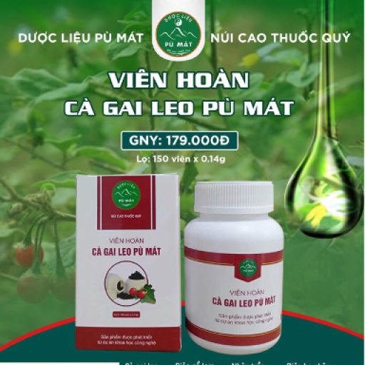 Viên Hoàn Cà Gai Leo Pù Mát