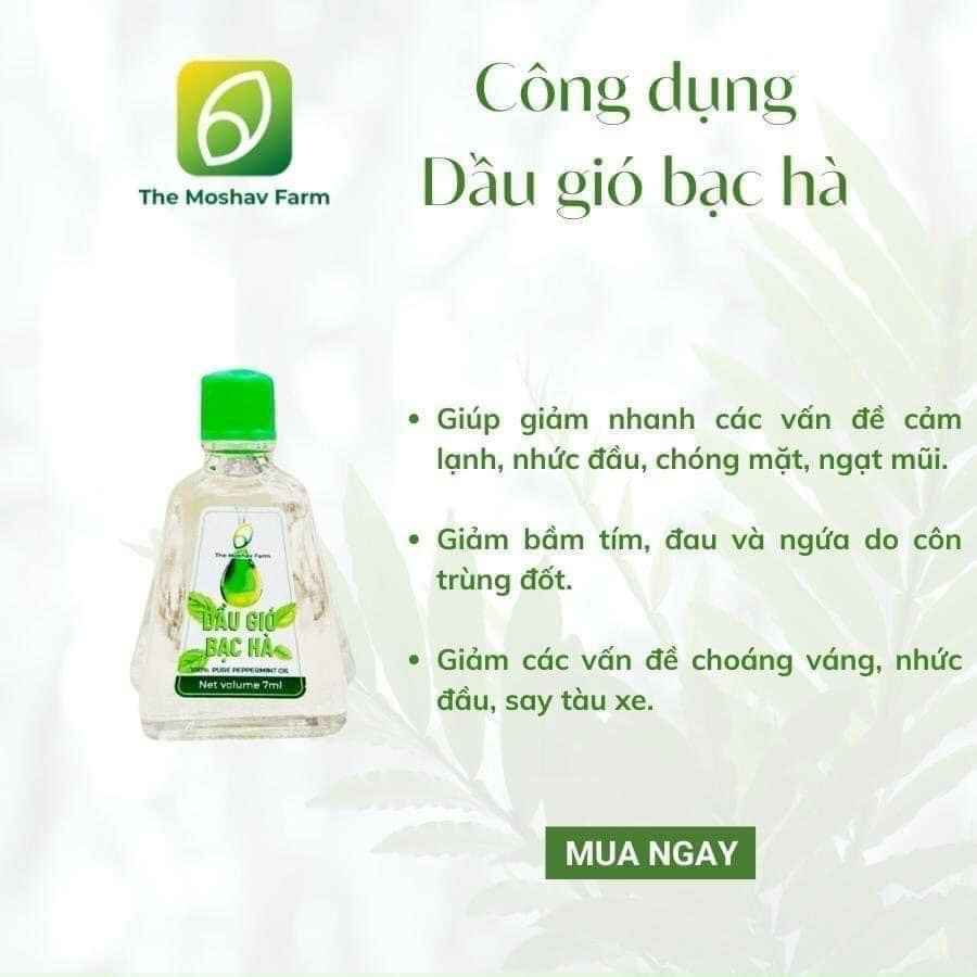 Dầu Gió Bạc Hà The Moshav Farm Hộp 2 chai 7ml