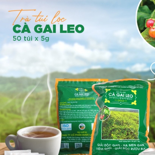 Cà gai leo