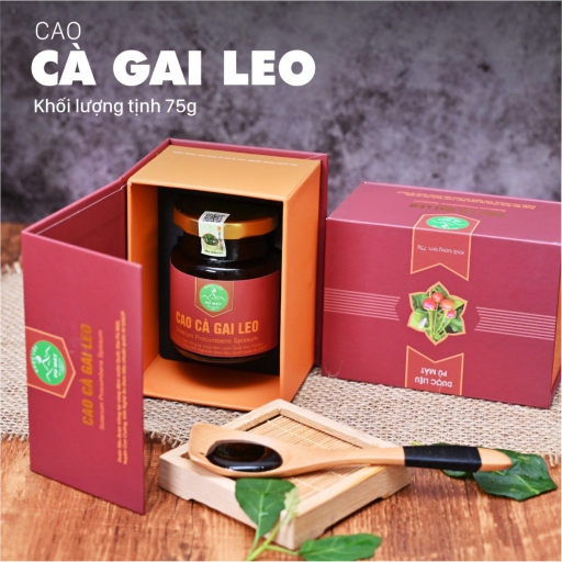 Cao cà gai leo Pù Mát - Shop Sơn Tâm