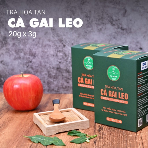 TRÀ HÒA TAN CÀ GAI LEO _ Shop Sơn Tâm