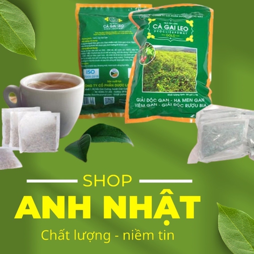 Cà gai leo Pù Mát Anh Nhật