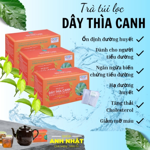 Trà túi lọc Dây Thìa Canh Hộp 30 túi x30 gam - ANH NHẬT