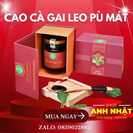 Cao cà gai leo Pù Mát - Anh Nhật