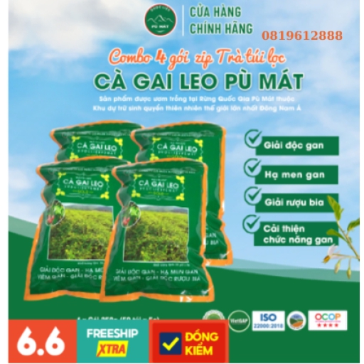 Combo 4 GÓI Trà Cà Gai Leo [FREE SHIP] trà túi lọc Dược Liệu Pù Mát