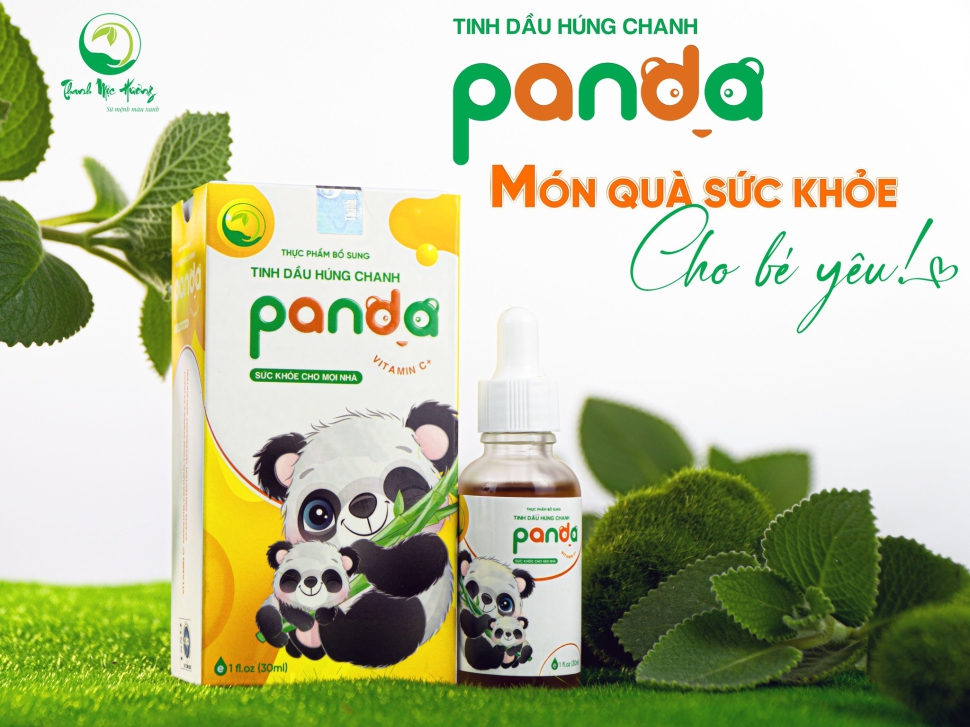 TINH DẦU HÚNG CHANH PANDA - Tăng cường đề kháng, bảo vệ hô hấp