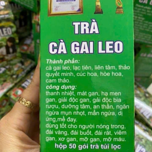 Cà gai leo