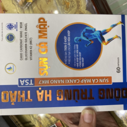 Đông trùng hạ thảo Sụn Cá Mập