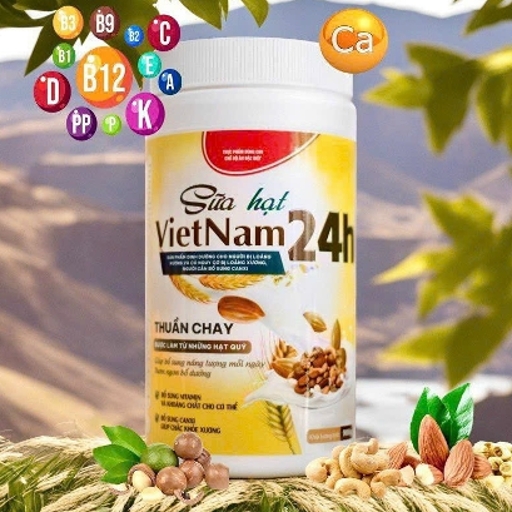 SỮA HẠT VIỆT NAM 24H THUẦN CHAY 500G