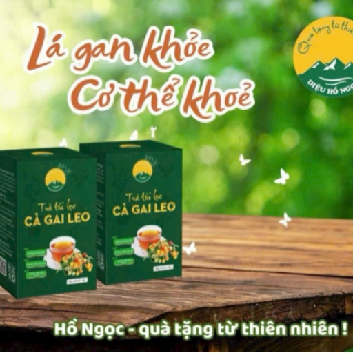 Trà túi lọc cà gai leo Hồ Ngọc