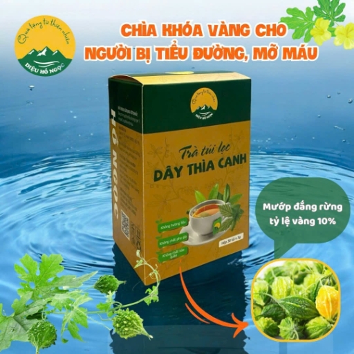 Trà túi lọc Dây Thìa Canh