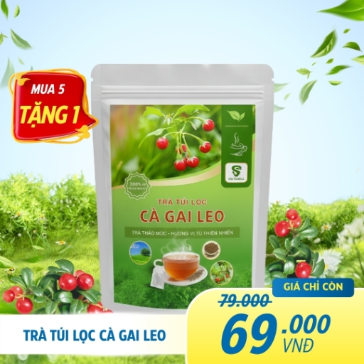 Trà túi lọc Cà Gai Leo